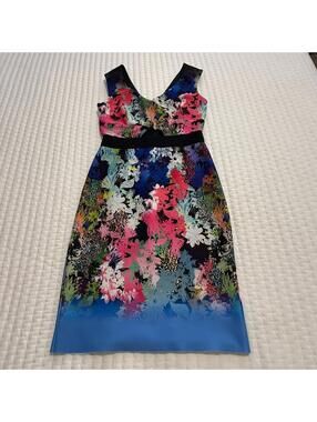 Milly Ombre Floral Print Sheath Dress Sz 10 Multicolor